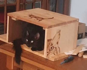 Abri simple pour gamelles