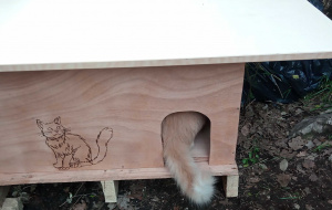 Abri d'extérieur anti-vent