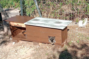 Abri 2 en 1 "Royal Câlin" pour point de nourrissage