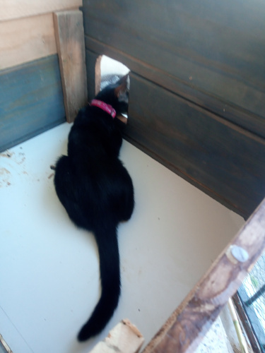 img_20220711_175844_268