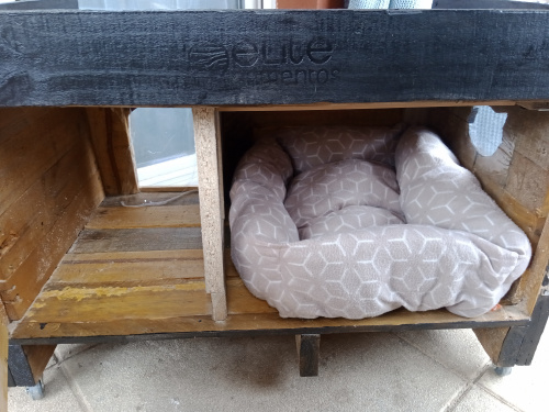 img_20230912_114433_761