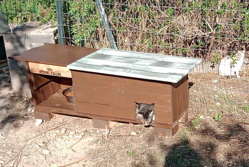 Abri 2 en 1 "Royal Câlin" pour point de nourrissage